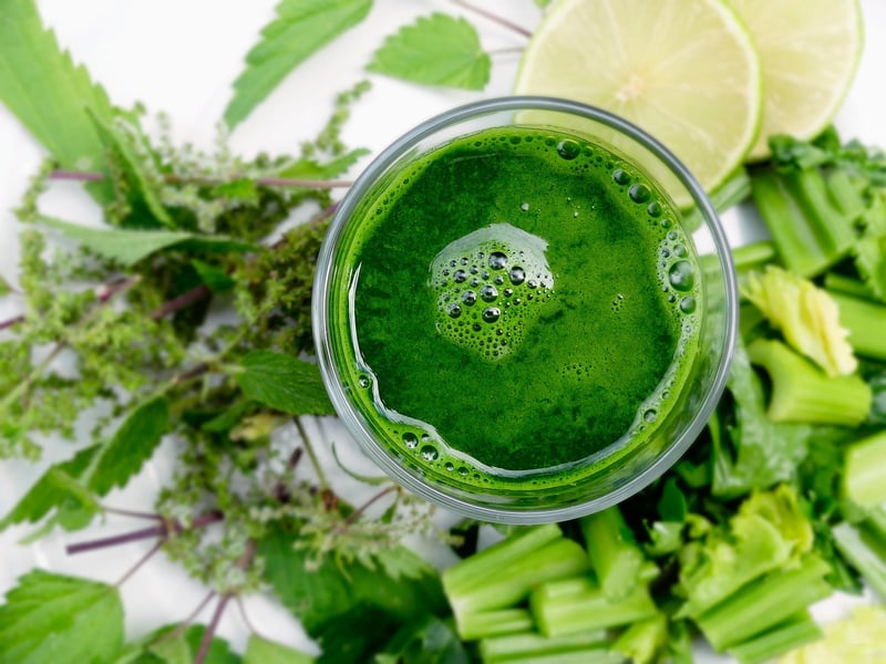 Plant-Based Diet